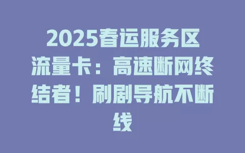 2025春运服务区流量卡：高速断网终结者！刷剧导航不断线