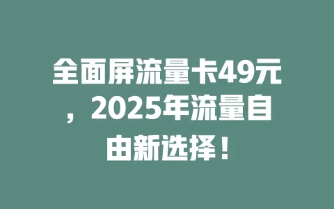 全面屏流量卡49元，2025年流量自由新选择！