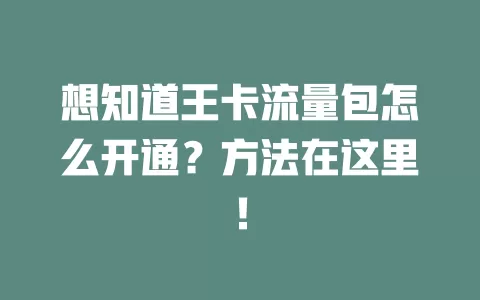 想知道王卡流量包怎么开通？方法在这里！