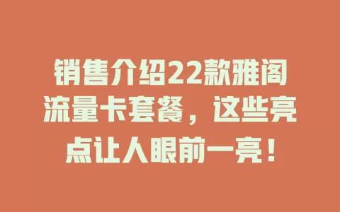 销售介绍22款雅阁流量卡套餐，这些亮点让人眼前一亮！