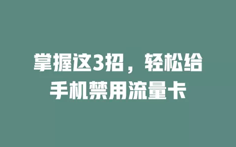 掌握这3招，轻松给手机禁用流量卡