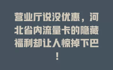 营业厅说没优惠，河北省内流量卡的隐藏福利却让人惊掉下巴！