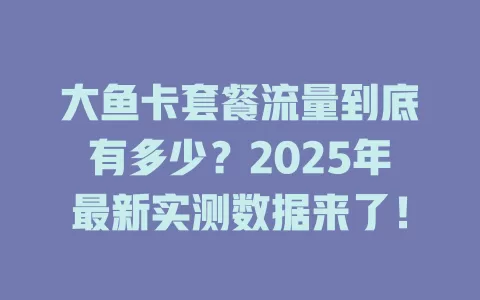 大鱼卡套餐流量到底有多少？2025年最新实测数据来了！