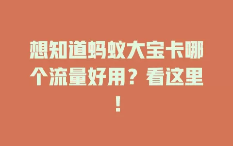 想知道蚂蚁大宝卡哪个流量好用？看这里！