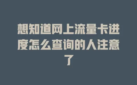 想知道网上流量卡进度怎么查询的人注意了