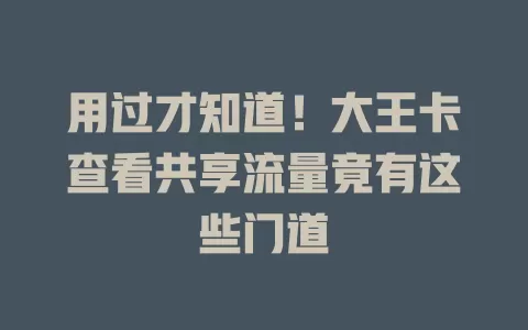 用过才知道！大王卡查看共享流量竟有这些门道