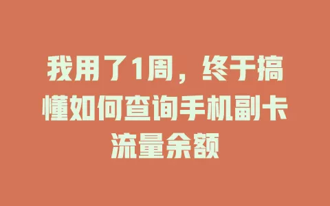 我用了1周，终于搞懂如何查询手机副卡流量余额