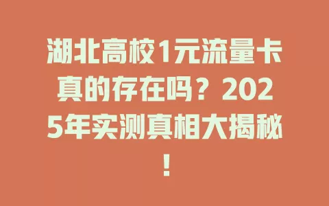 湖北高校1元流量卡真的存在吗？2025年实测真相大揭秘！