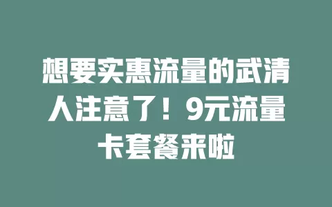想要实惠流量的武清人注意了！9元流量卡套餐来啦