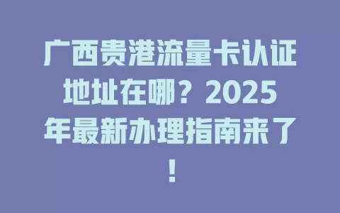 广西贵港流量卡认证地址在哪？2025年最新办理指南来了！