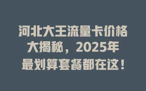 河北大王流量卡价格大揭秘，2025年最划算套餐都在这！