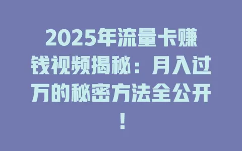 2025年流量卡赚钱视频揭秘：月入过万的秘密方法全公开！