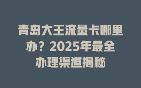 青岛大王流量卡哪里办？2025年最全办理渠道揭秘