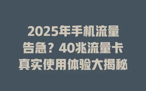 2025年手机流量告急？40兆流量卡真实使用体验大揭秘