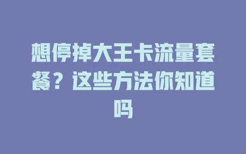想停掉大王卡流量套餐？这些方法你知道吗