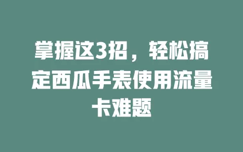 掌握这3招，轻松搞定西瓜手表使用流量卡难题