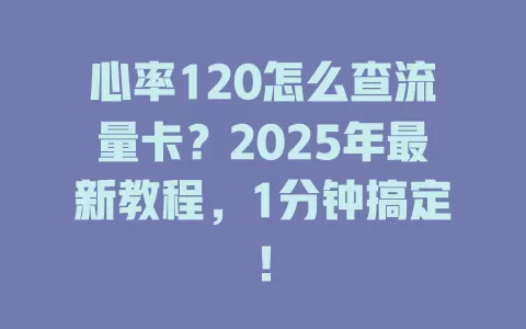 心率120怎么查流量卡？2025年最新教程，1分钟搞定！