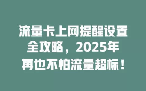 流量卡上网提醒设置全攻略，2025年再也不怕流量超标！