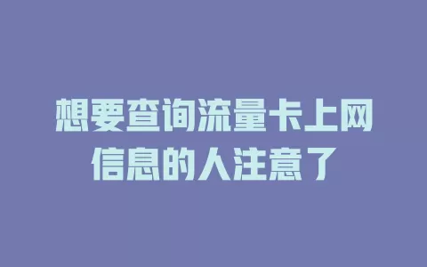 想要查询流量卡上网信息的人注意了