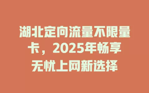 湖北定向流量不限量卡，2025年畅享无忧上网新选择