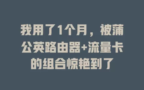 我用了1个月，被蒲公英路由器+流量卡的组合惊艳到了