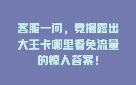 客服一问，竟揭露出大王卡哪里看免流量的惊人答案！