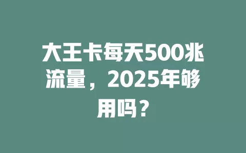 大王卡每天500兆流量,2025年够用吗?