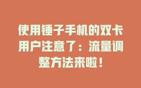 使用锤子手机的双卡用户注意了：流量调整方法来啦！