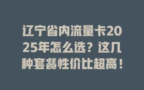 辽宁省内流量卡2025年怎么选？这几种套餐性价比超高！