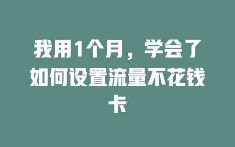 我用1个月，学会了如何设置流量不花钱卡