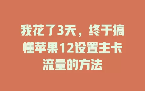 我花了3天，终于搞懂苹果12设置主卡流量的方法