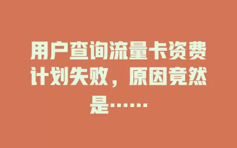 用户查询流量卡资费计划失败，原因竟然是……