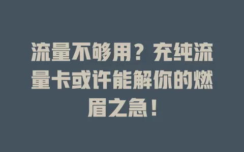 流量不够用？充纯流量卡或许能解你的燃眉之急！