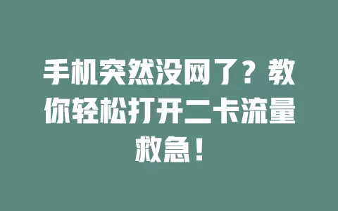 手机突然没网了？教你轻松打开二卡流量救急！