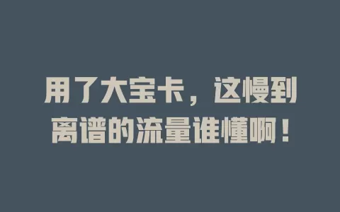 用了大宝卡,这慢到离谱的流量谁懂啊!