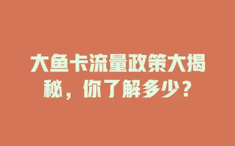大鱼卡流量政策大揭秘，你了解多少？
