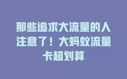 那些追求大流量的人注意了！大蚂蚁流量卡超划算
