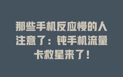 那些手机反应慢的人注意了：钝手机流量卡救星来了！