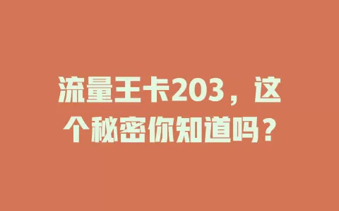 流量王卡203，这个秘密你知道吗？
