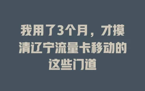 我用了3个月，才摸清辽宁流量卡移动的这些门道