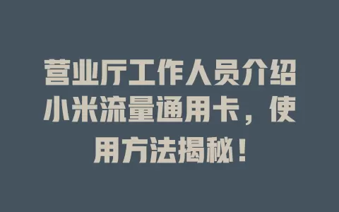 营业厅工作人员介绍小米流量通用卡，使用方法揭秘！