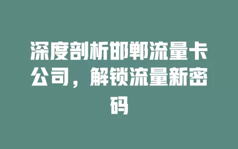深度剖析邯郸流量卡公司，解锁流量新密码