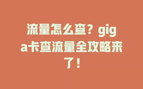流量怎么查？giga卡查流量全攻略来了！