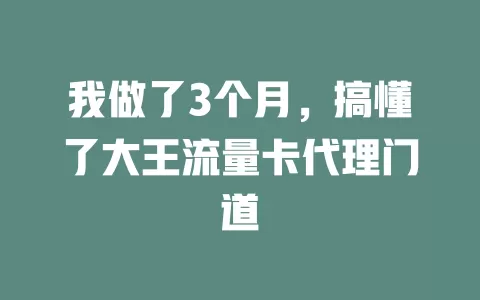 我做了3个月,搞懂了大王流量卡代理门道