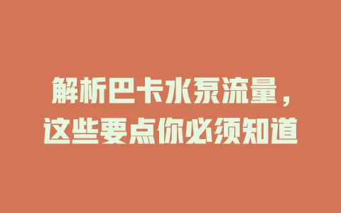 解析巴卡水泵流量,这些要点你必须知道