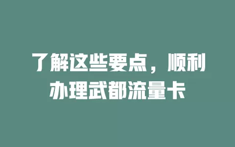 了解这些要点，顺利办理武都流量卡
