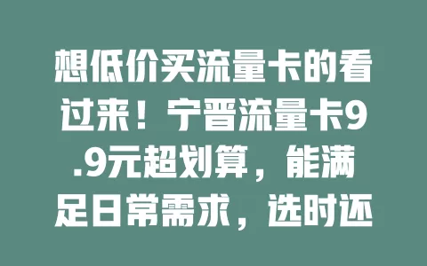想低价买流量卡的看过来！宁晋流量卡9.9元超划算，能满足日常需求，选时还得关注网络和费用，性价比超高，快来了解！