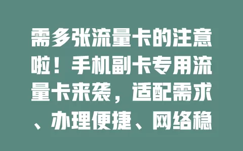 需多张流量卡的注意啦！手机副卡专用流量卡来袭，适配需求、办理便捷、网络稳定，提升副卡体验