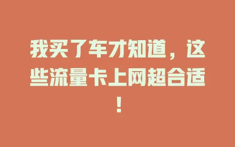 我买了车才知道,这些流量卡上网超合适!