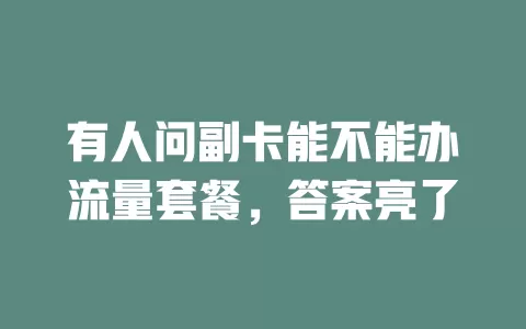 有人问副卡能不能办流量套餐，答案亮了